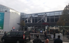 Video: Nổ lớn tại sân bay Brussels, hàng chục người thương vong