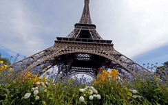 Sơ tán cả tháp Eiffel vì nhầm diễn tập là báo động khủng bố