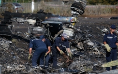 Nga triệu tập Đại sứ Hà Lan sau điều tra MH17 bị bắn