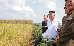 Triều Tiên lưu đày Thứ trưởng vì cấp dưới đào tẩu