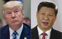 Lãnh đạo Mỹ-Trung điện đàm, cam kết tôn trọng chính sách "một Trung Quốc"