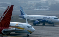 Nghị sĩ Ấn bị 6 hãng hàng không "cạch mặt" vì đánh tiếp viên