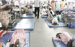 21 người thiệt mạng vì dịch sốt xuất huyết tại Ấn Độ