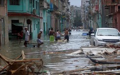Việt Nam thăm hỏi Cuba sau siêu bão Irma
