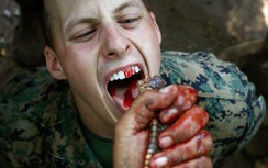 Video thủy quân lục chiến Mỹ học uống máu rắn hổ mang tại Thái