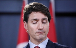 Thủ tướng Canada xin lỗi vì động chạm phóng viên nữ
