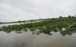 Huế: Chính quyền thông báo chậm, dân lãnh lũ lụt "trái mùa"