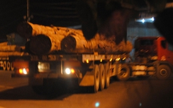 Hàng trăm xe gỗ chấp hành nghiêm tải trọng ở Kon Tum