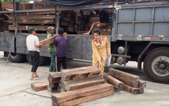 Bắt ô tô tải chở đầy gỗ lậu