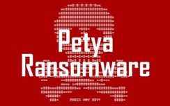 Trả tiền mã độc Petya, vì sao nạn nhân vẫn mất dữ liệu?