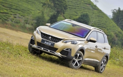 Peugeot 3008 và 5008 vừa ra mắt đã bán 500 xe