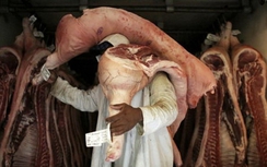 Cục Thú y khẳng định: Thịt bẩn từ Brazil chưa vào Việt Nam
