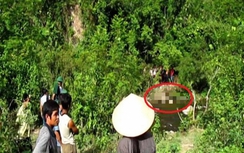 Tin mới thảm sát ở Nghệ An: Điều tra 3 người bẫy thú rừng