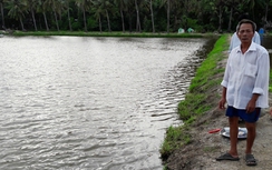 Kiên Giang: 3 chị em đuối nước thương tâm dưới đầm tôm