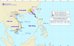 Cập nhật tin bão số 8: Suy yếu thành áp thấp nhiệt đới