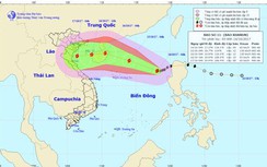 Dự báo thời tiết 14/10: Bão số 11 giật cấp 15