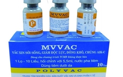 Việt Nam sẽ xuất khẩu được vaccine