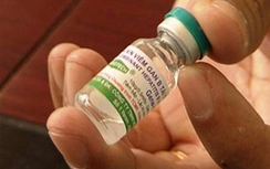 Đạt chất lượng, Việt Nam xuất khẩu nhiều loại vắcxin