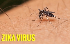 Ca nhiễm virus Zika thứ 9 là một bé gái 4 tuổi