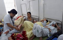24 người tử vong vì sốt xuất huyết