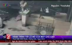 Rớt nước mắt với "hành trình tới lò mổ" của chó