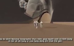 Clip: Đồ họa 3D mô phỏng hang Sơn Đoòng