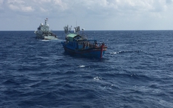Đang tìm kiếm tàu cá Quảng Ngãi mất tích trên biển