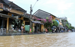 Lũ miền Trung: 4 người chết, hàng nghìn nhà bị ngập