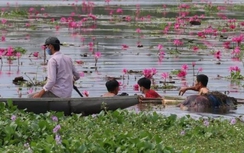 Quảng Nam: Hai ngày phát hiện 3 thi thể trôi sông
