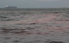 Thêm vệt nước màu đỏ xuất hiện trên biển Đà Nẵng