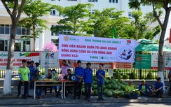 Đồng hành cùng sinh viên giải cứu dưa cho nông dân Quảng Ngãi