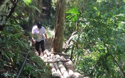 Phá rừng tại Khe Đương: Kiểm lâm nói có, địa phương bảo không