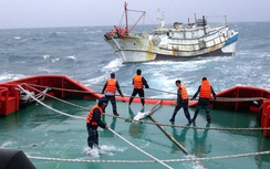 LRIT hỗ trợ đắc lực cho công tác tìm kiếm cứu nạn trên biển