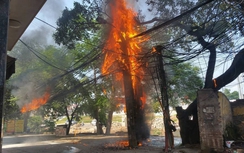 Cột điện bốc cháy dữ dội trên đường Hoàng Quốc Việt