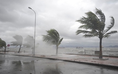 Tin bão số 3: Nam Định, Thái Bình khẩn trương di dời dân