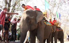 Đặc sắc Lễ hội Cúng bến nước và cúng sức khỏe cho voi