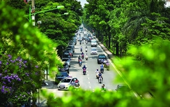 Phát triển hạ tầng đô thị xanh: Hướng tới đô thị an toàn, bền vững