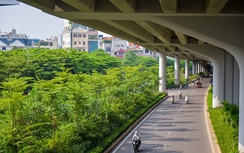 Giải pháp quản lý cây xanh phù hợp với hạ tầng, kiến trúc đô thị