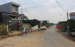 Xuân Du – Thủ phủ hoa đào xứ Thanh sắp “cập bến” Nông thôn mới nâng cao