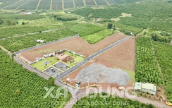 Đất khai hoang, xin cấp quyền sử dụng thế nào?