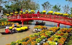 Du lịch Đồng Tháp nhanh chóng hồi phục