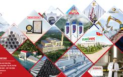 Bước chuyển mình ấn tượng của Tập đoàn AMACCAO