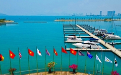 Cuộc đua thuyền buồm Hong Kong - Nha Trang sẽ diễn ra tại Bến du thuyền quốc tế Ana Marina vào tháng 10/2023