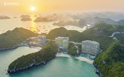 Flamingo Holdings trên hành trình phát triển kiến trúc xanh, công trình xanh bền vững