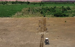 Sân bay Long Thành: Người dân hoàn trả đất đã chiếm dụng