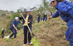 Xuân Dạ Hợp – Ươm mầm xanh