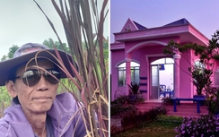 Ông lão U80 mê màu 'thủy chung', có căn nhà đẹp như mơ giữa vườn hoa rực sắc tím