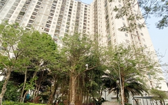 Quyết liệt tháo gỡ khó khăn, triển khai hiệu quả gói tín dụng 140 nghìn tỷ đồng cho vay nhà ở xã hội