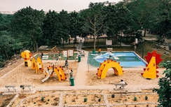 Think Playgrounds tổ chức ngày hội STEAM và Sinh thái công viên rừng Phúc Tân