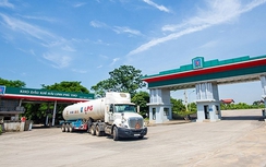 Phú Thọ: Công ty TNHH Hải Linh nợ thuế trên 287,9 tỷ đồng